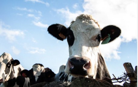 Lorem ipsum dolor sit amet, consectetur adipiscing elit